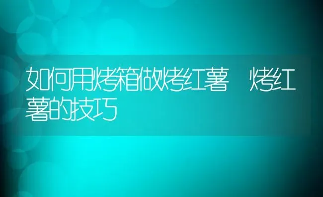 如何用烤箱做烤红薯 烤红薯的技巧 | 养殖资料投稿