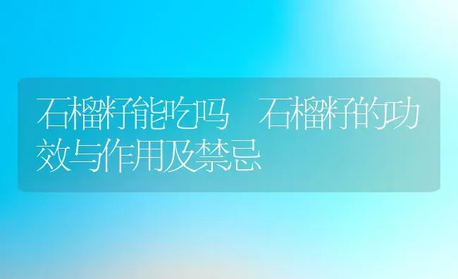 石榴籽能吃吗 石榴籽的功效与作用及禁忌 | 养殖资料投稿