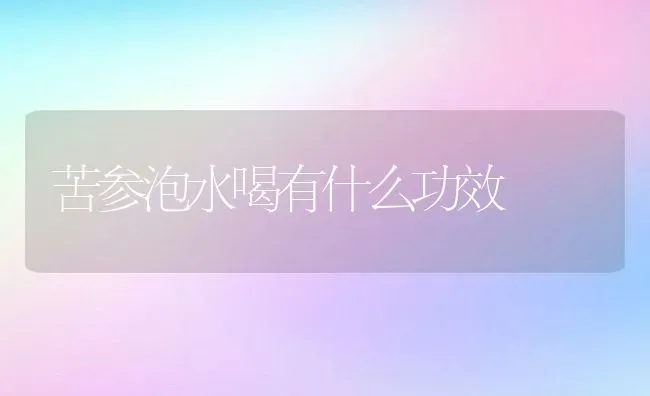 苦参泡水喝有什么功效 | 养殖资料投稿
