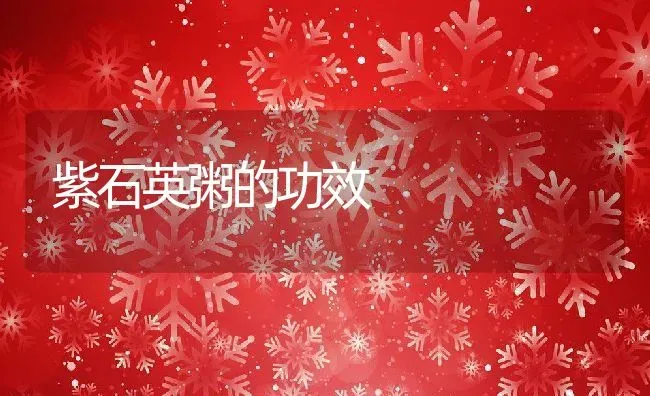 紫石英粥的功效 | 养殖资料投稿