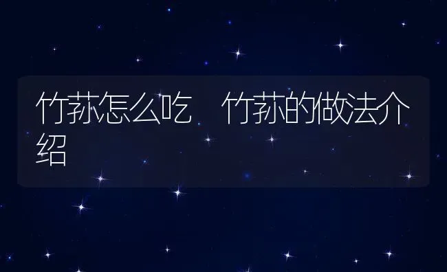 竹荪怎么吃 竹荪的做法介绍 | 养殖资料投稿