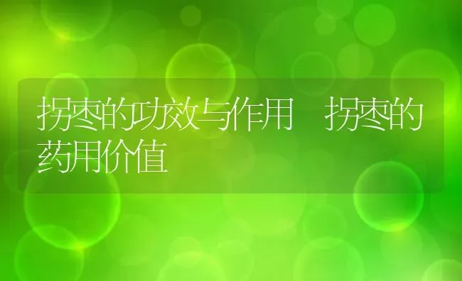 拐枣的功效与作用 拐枣的药用价值 | 养殖资料投稿