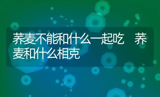 荞麦不能和什么一起吃 荞麦和什么相克 | 养殖资讯