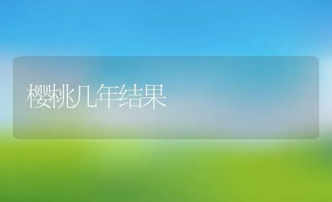 种鸽怎么养 | 养殖资讯