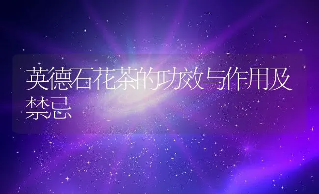 英德石花茶的功效与作用及禁忌 | 养殖资料投稿