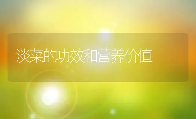 淡菜的功效和营养价值 | 养殖资料投稿