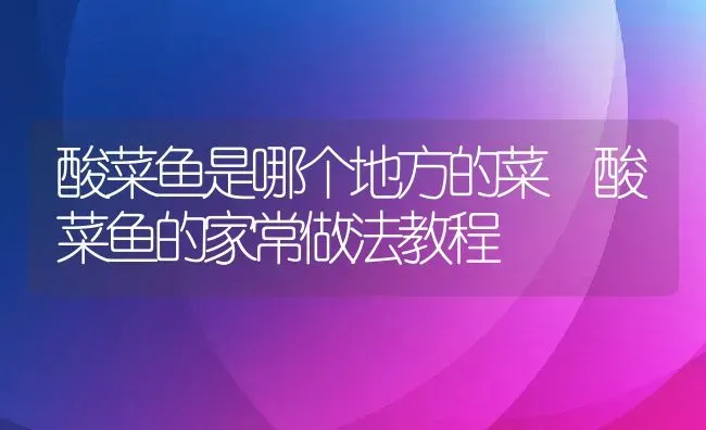 酸菜鱼是哪个地方的菜 酸菜鱼的家常做法教程 | 养殖资料投稿