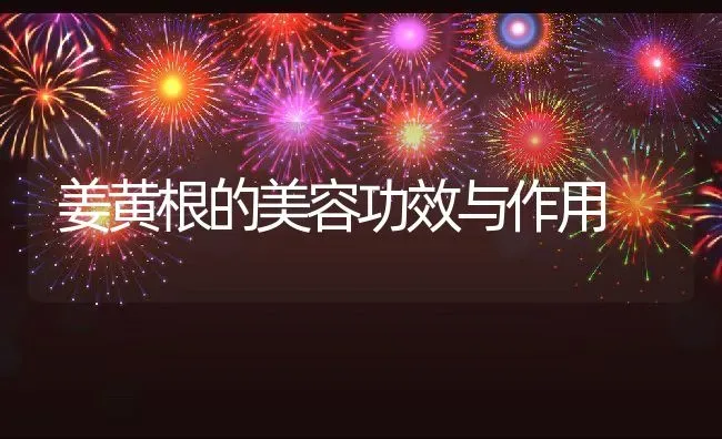 姜黄根的美容功效与作用 | 养殖资料投稿