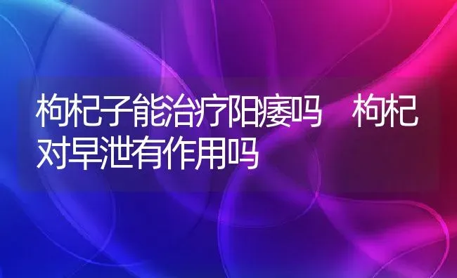 枸杞子能治疗阳痿吗 枸杞对早泄有作用吗 | 养殖资料投稿