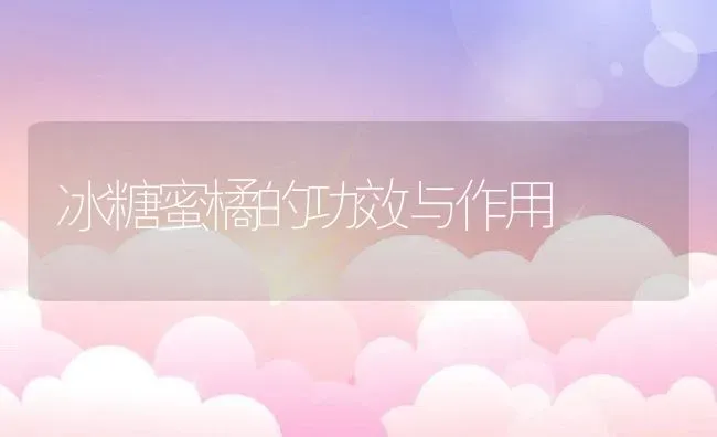 冰糖蜜橘的功效与作用 | 养殖资料投稿
