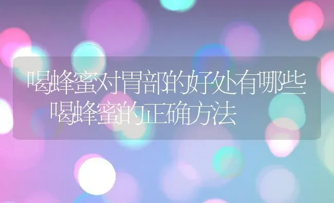 喝蜂蜜对胃部的好处有哪些 喝蜂蜜的正确方法 | 养殖资料投稿