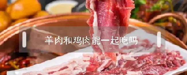 羊肉和鸡肉能一起吃吗