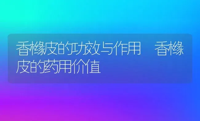 香橼皮的功效与作用 香橼皮的药用价值 | 养殖资料投稿