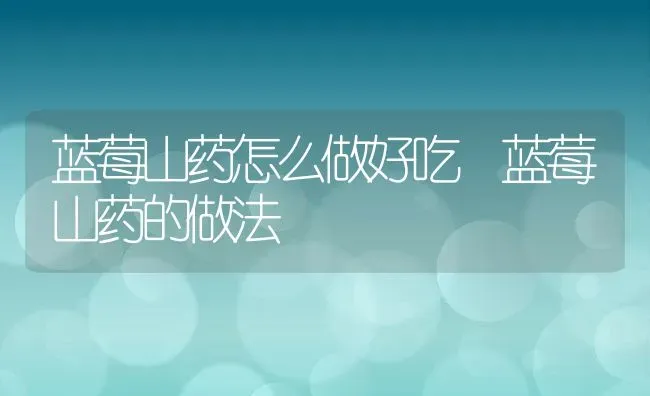 蓝莓山药怎么做好吃 蓝莓山药的做法 | 养殖资料投稿