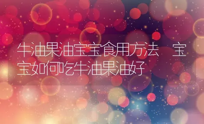 牛油果油宝宝食用方法 宝宝如何吃牛油果油好 | 养殖资料投稿