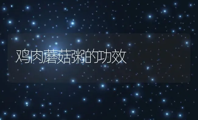 鸡肉蘑菇粥的功效 | 养殖资讯