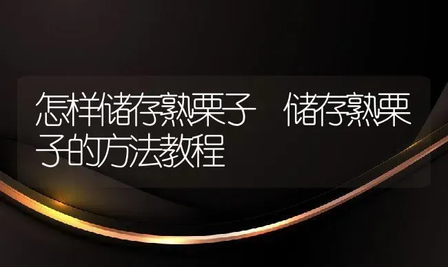 怎样储存熟栗子 储存熟栗子的方法教程 | 养殖资料投稿