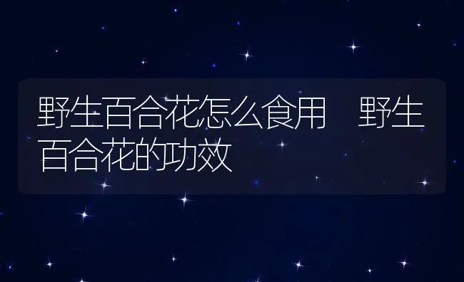 野生百合花怎么食用 野生百合花的功效 | 养殖资料投稿