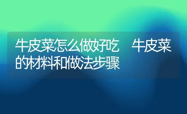 牛皮菜怎么做好吃 牛皮菜的材料和做法步骤 | 养殖资料投稿