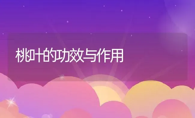 桃叶的功效与作用 | 养殖资料投稿