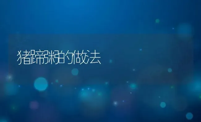 猪蹄粥的做法 | 养殖资讯