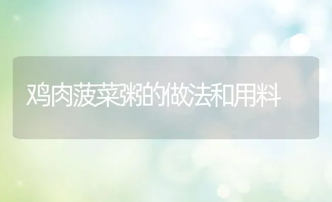 鸡肉菠菜粥的做法和用料 | 养殖资讯