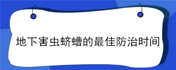 地下害虫蛴螬的最佳防治时间