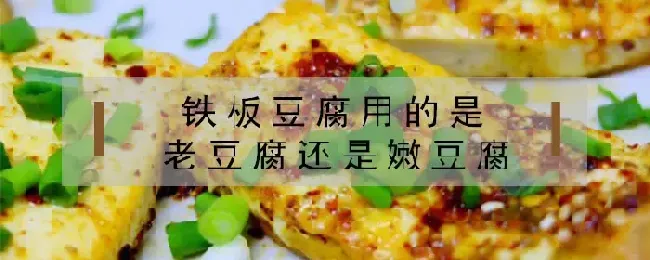 铁板豆腐用的是老豆腐还是嫩豆腐