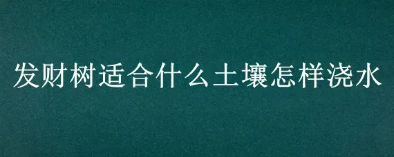 发财树适合什么土壤怎样浇水