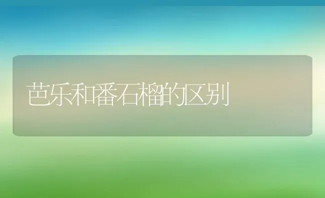 芭乐和番石榴的区别 | 养殖资料投稿