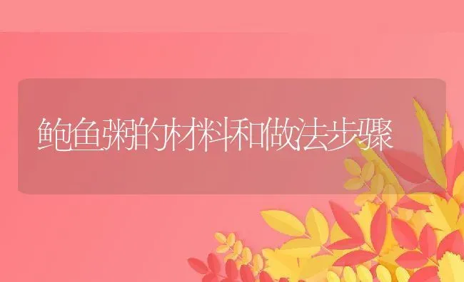 鲍鱼粥的材料和做法步骤 | 养殖资讯