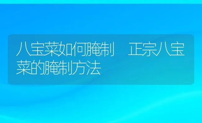 八宝菜如何腌制 正宗八宝菜的腌制方法 | 养殖资料投稿