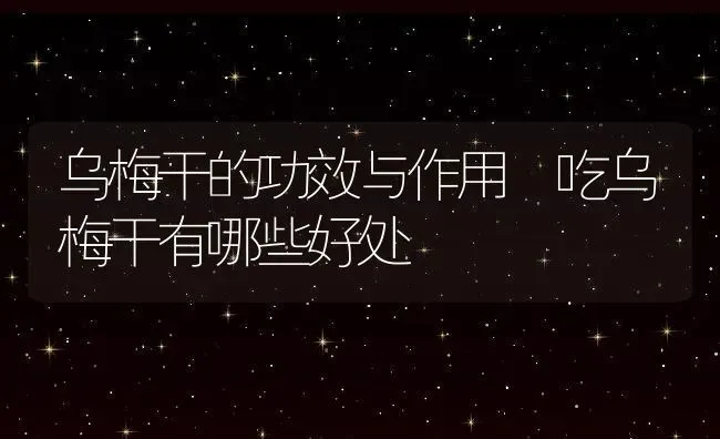 乌梅干的功效与作用 吃乌梅干有哪些好处 | 养殖资料投稿
