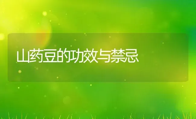 山药豆的功效与禁忌 | 养殖资料投稿