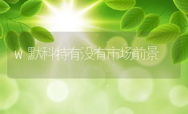 w默科特有没有市场前景 | 养殖资讯