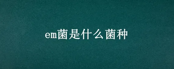 em菌是什么菌种