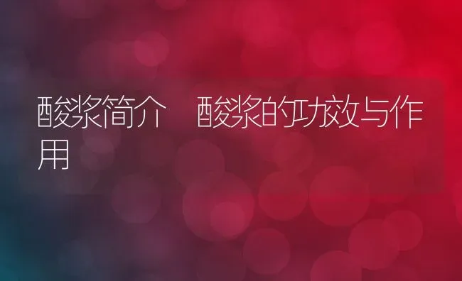 酸浆简介 酸浆的功效与作用 | 养殖资料投稿