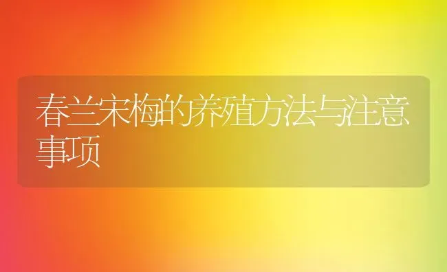 春兰宋梅的养殖方法与注意事项 | 养殖资料投稿
