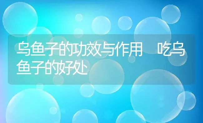 乌鱼子的功效与作用 吃乌鱼子的好处 | 养殖资料投稿