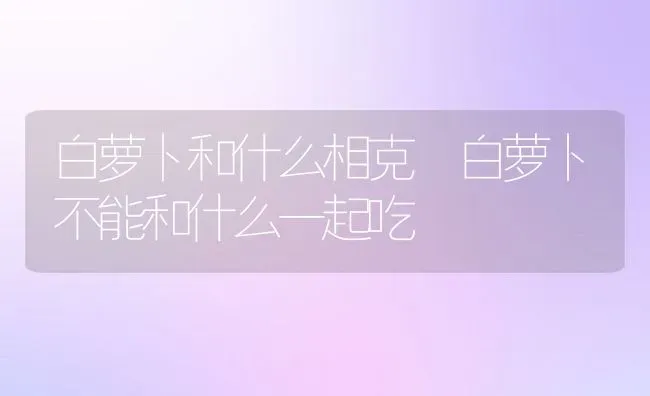 白萝卜和什么相克 白萝卜不能和什么一起吃 | 养殖资料投稿