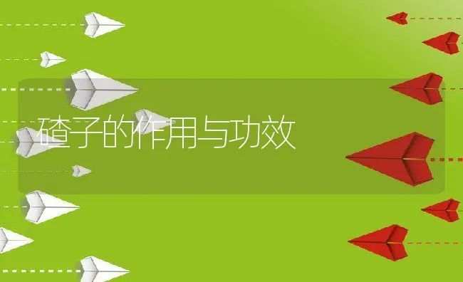 碴子的作用与功效 | 养殖资料投稿