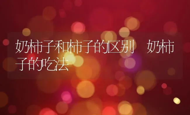 奶柿子和柿子的区别 奶柿子的吃法 | 养殖资料投稿