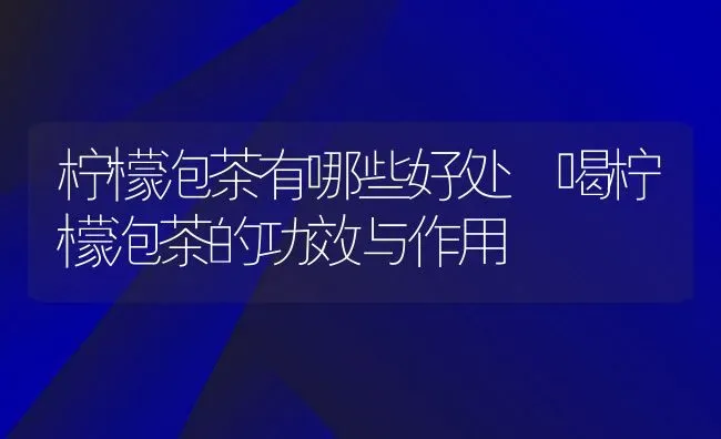 柠檬泡茶有哪些好处 喝柠檬泡茶的功效与作用 | 养殖资料投稿