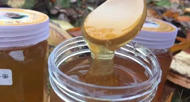 正宗荆条蜜容易结晶吗？