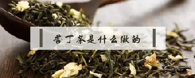 苦丁茶是什么做的