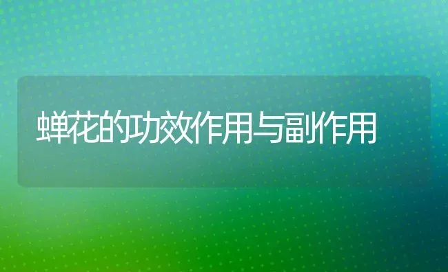 蝉花的功效作用与副作用 | 养殖资料投稿