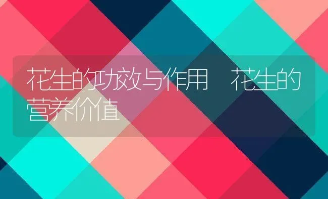 花生的功效与作用 花生的营养价值 | 养殖资料投稿