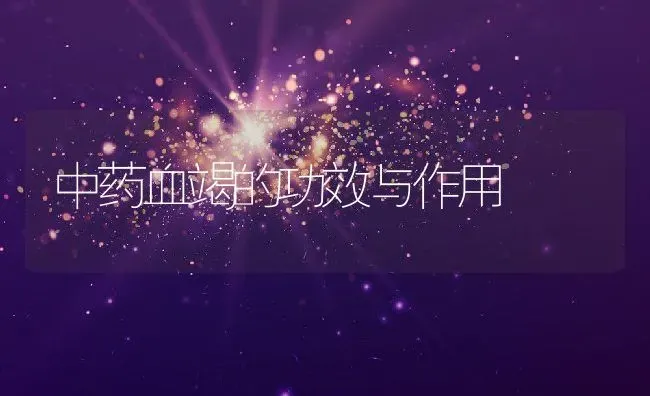 中药血竭的功效与作用 | 养殖资料投稿
