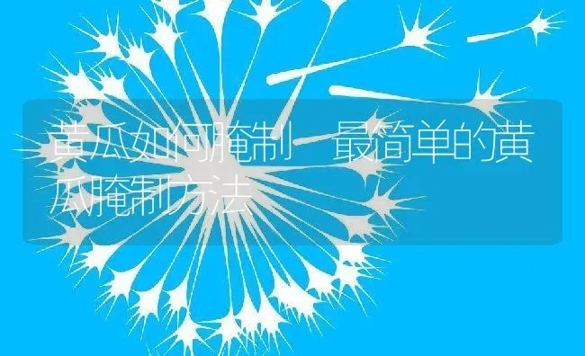 黄瓜如何腌制 最简单的黄瓜腌制方法 | 养殖资料投稿