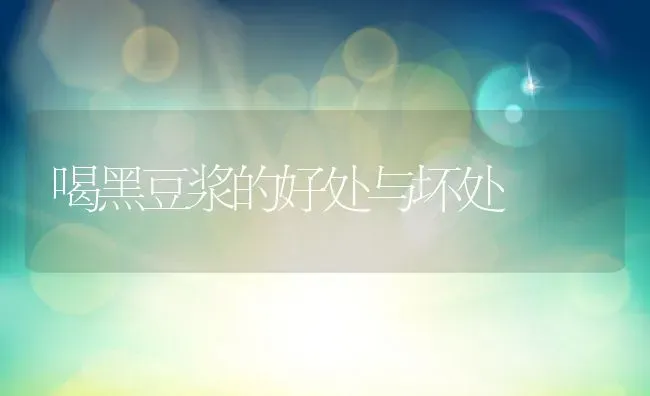喝黑豆浆的好处与坏处 | 养殖资料投稿